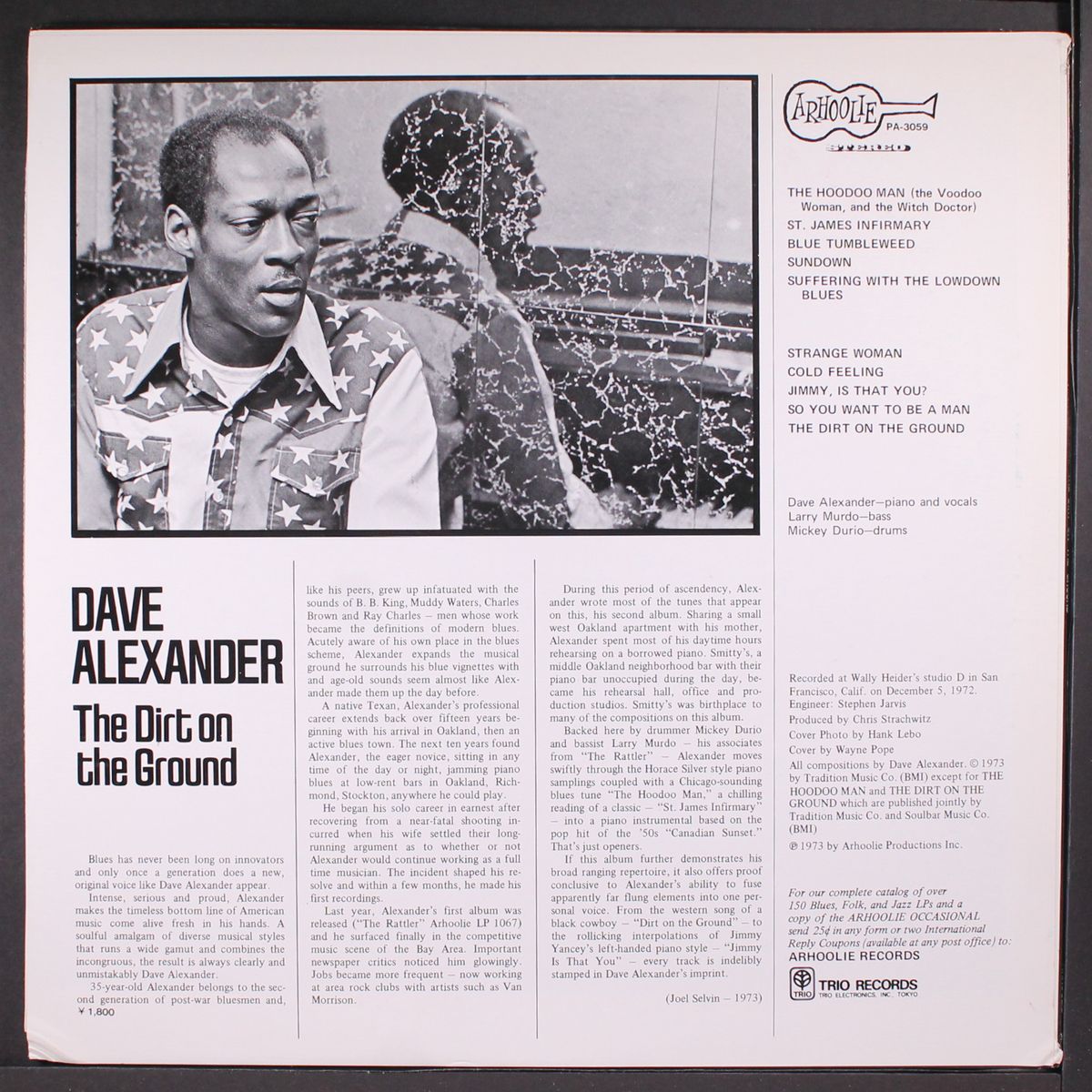 the dirt on the ground by DAVE ALEXANDER
