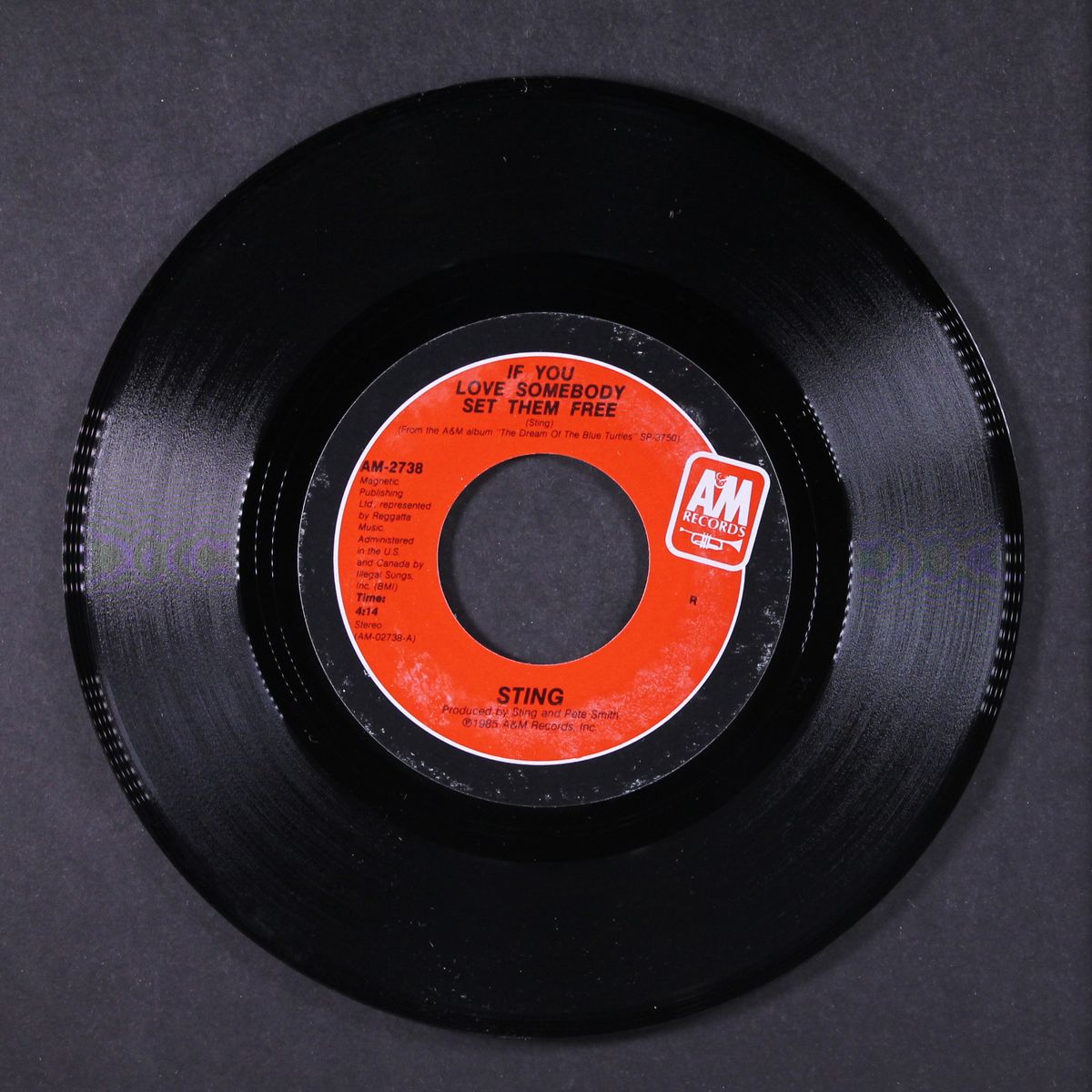 if you love somebody set them free / another day by STING