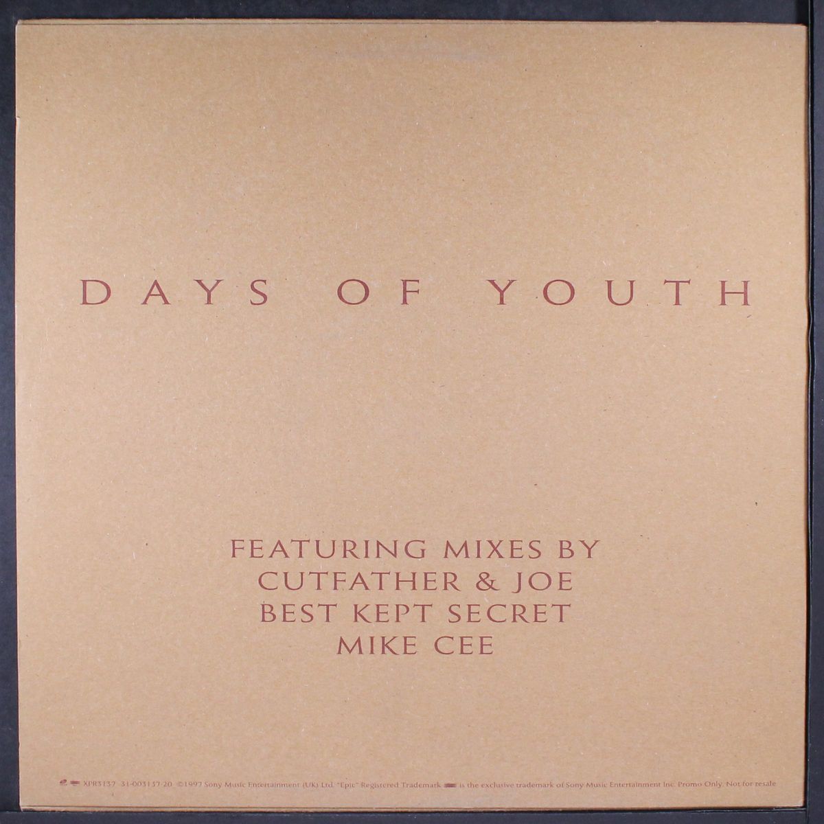 days of youth by LAURNEA