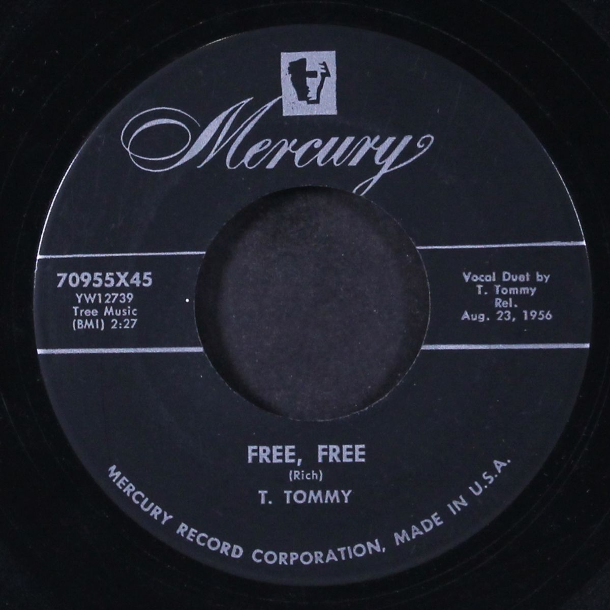 going walking / free, free by T. TOMMY