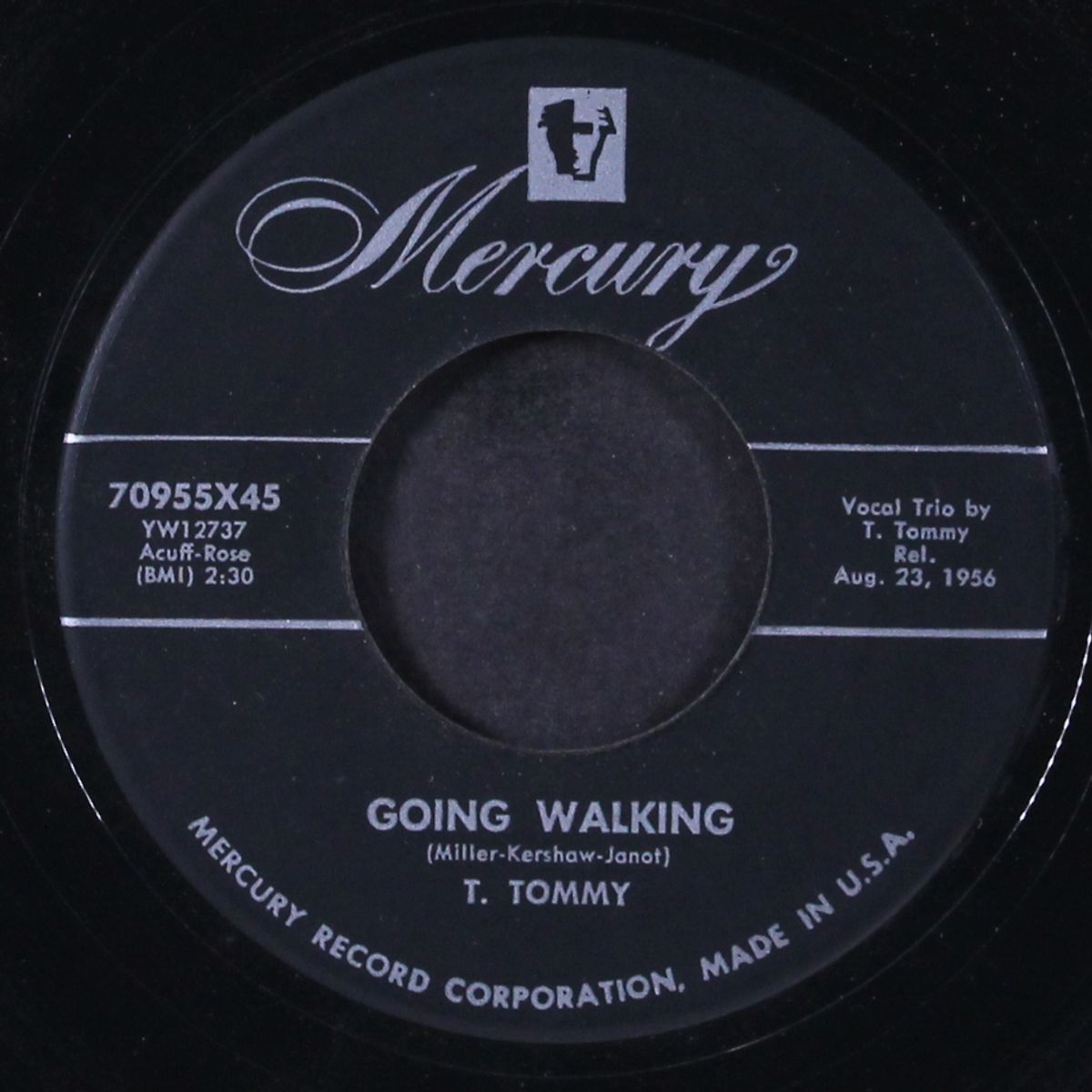 going walking / free, free by T. TOMMY