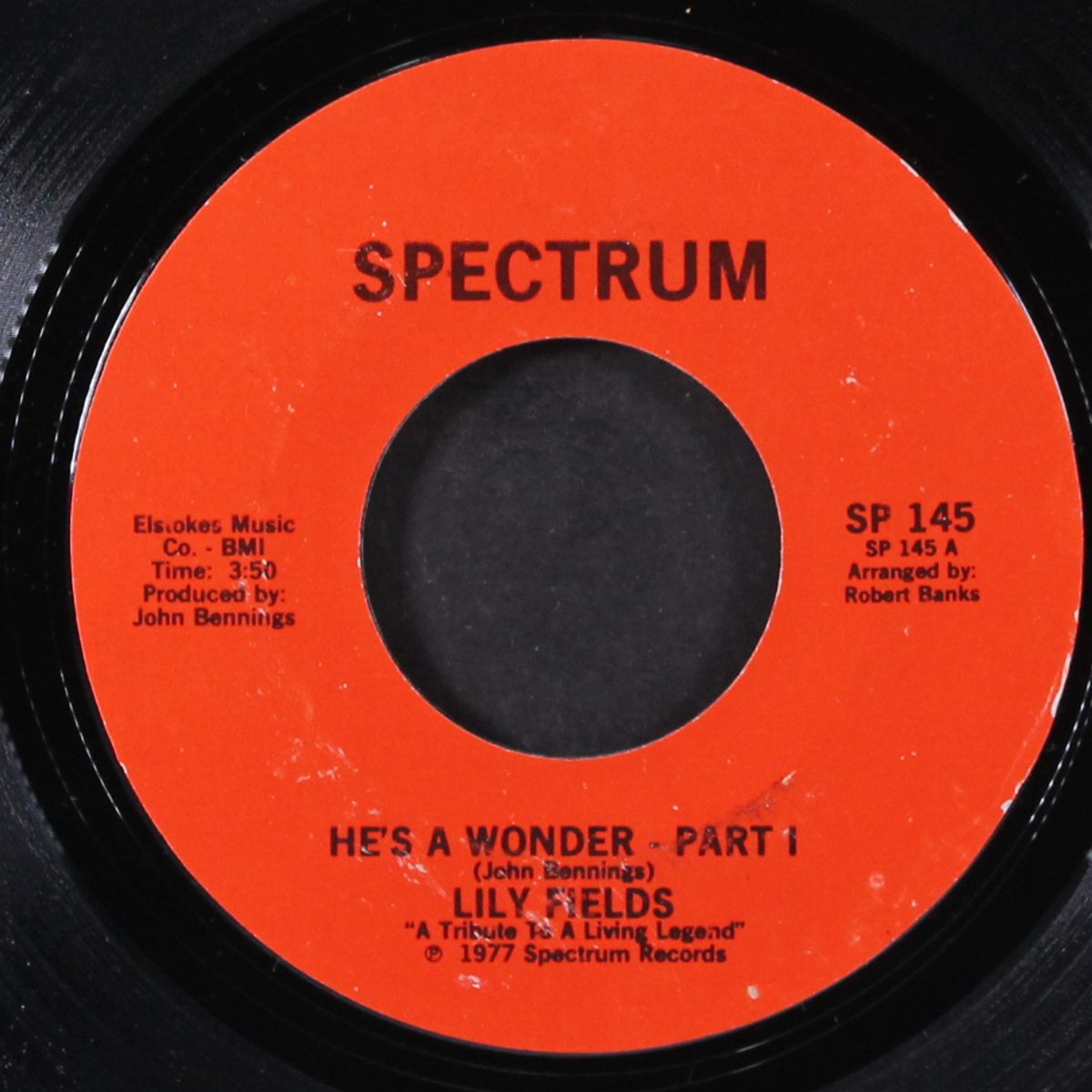 he's a wonder / pt. 2 by LILY FIELDS