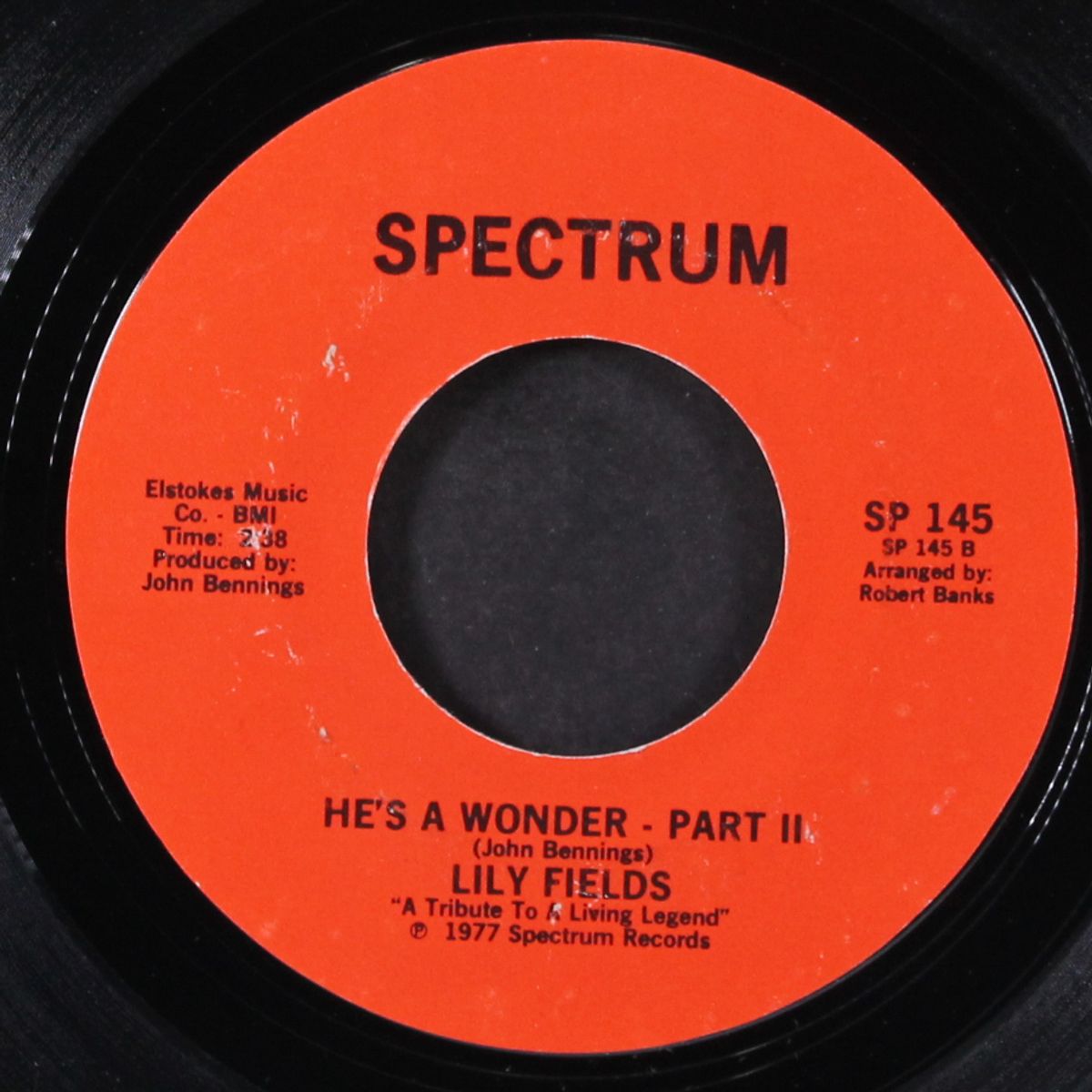 he's a wonder / pt. 2 by LILY FIELDS