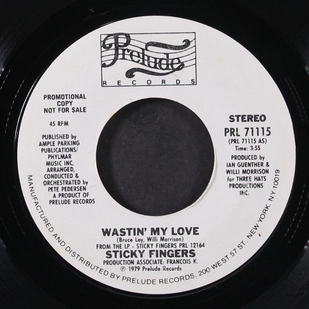 wastin' my love / party song by STICKY FINGERS