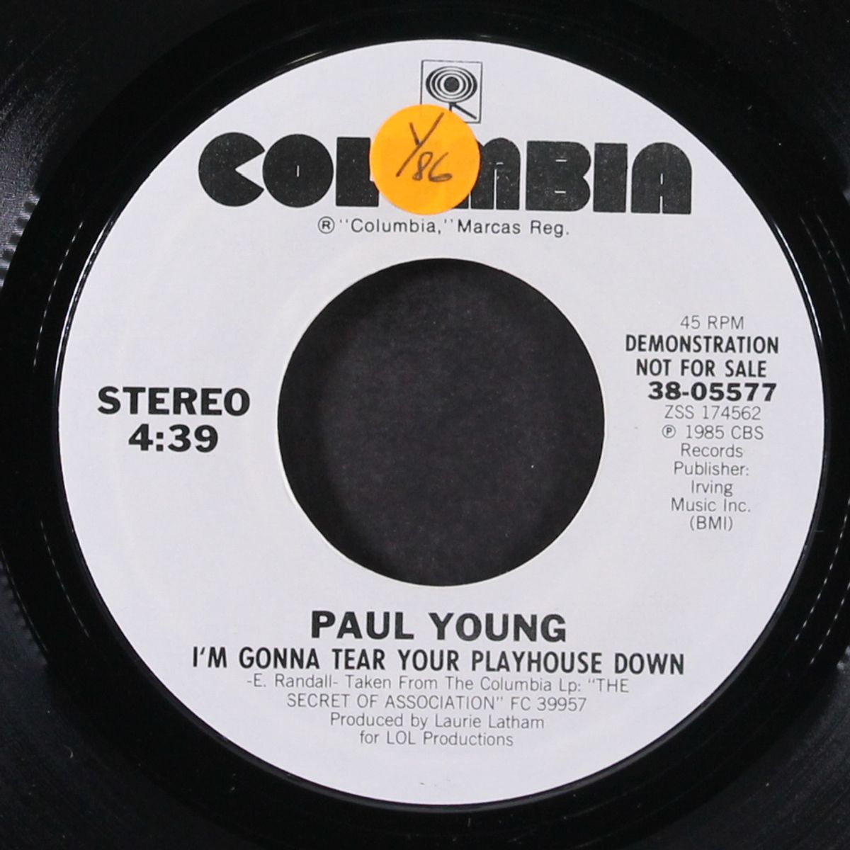 i'm gonna tear your playhouse down / same by PAUL YOUNG