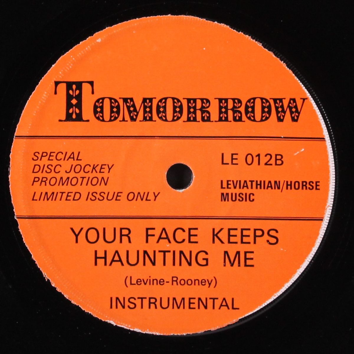 your face keeps haunting me / instro by CAROL WOODS