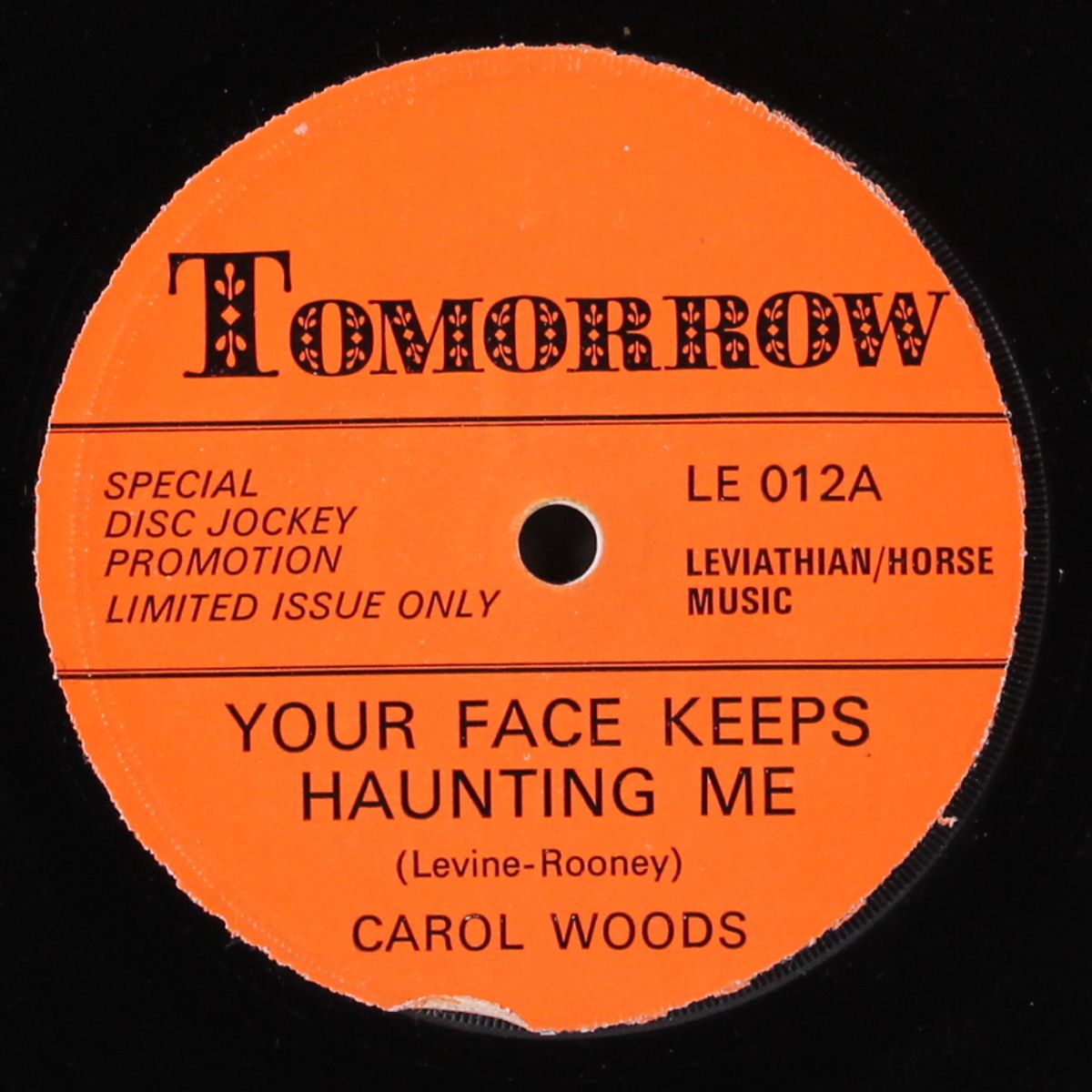 your face keeps haunting me / instro by CAROL WOODS