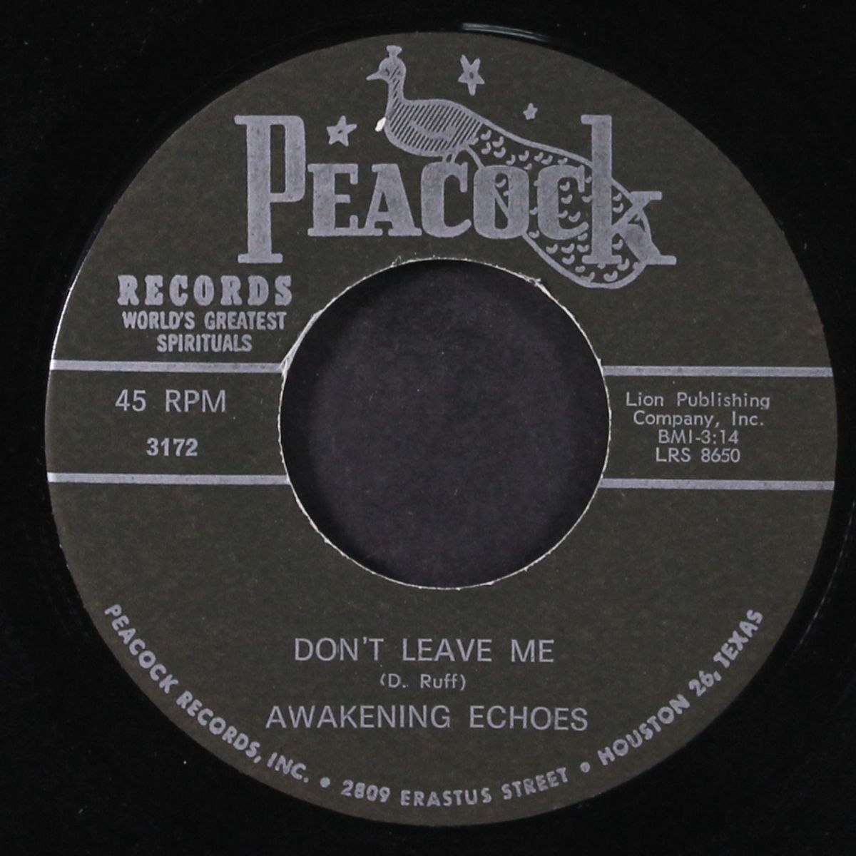 you don't know / don't leave me by AWAKENING ECHOES