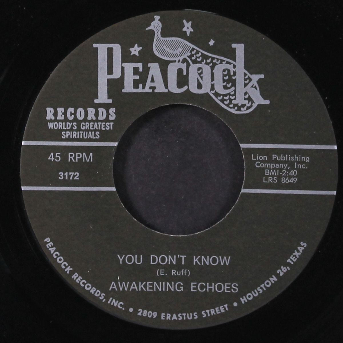 you don't know / don't leave me by AWAKENING ECHOES