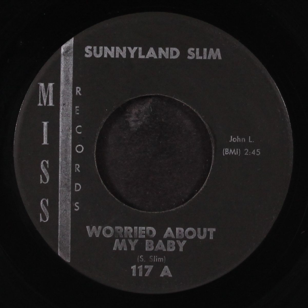 drinking and clowning / worried about my baby by SUNNYLAND SLIM