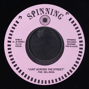 DEL-RIOS, JACKIE BRENSTON, HAMPTONES