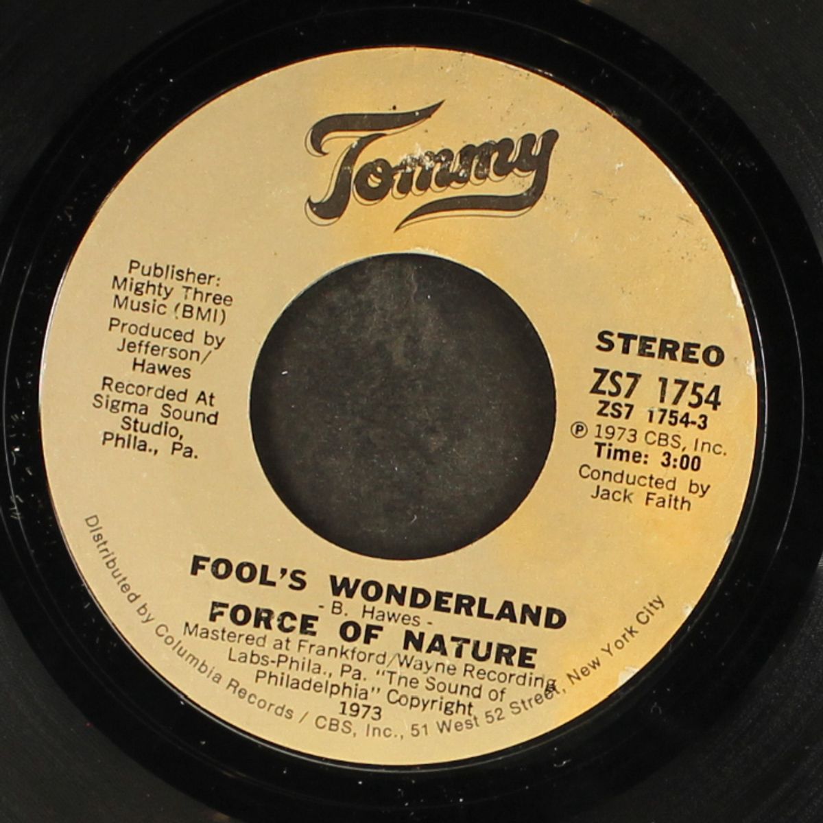fool's wonderland / thoughts by FORCE OF NATURE