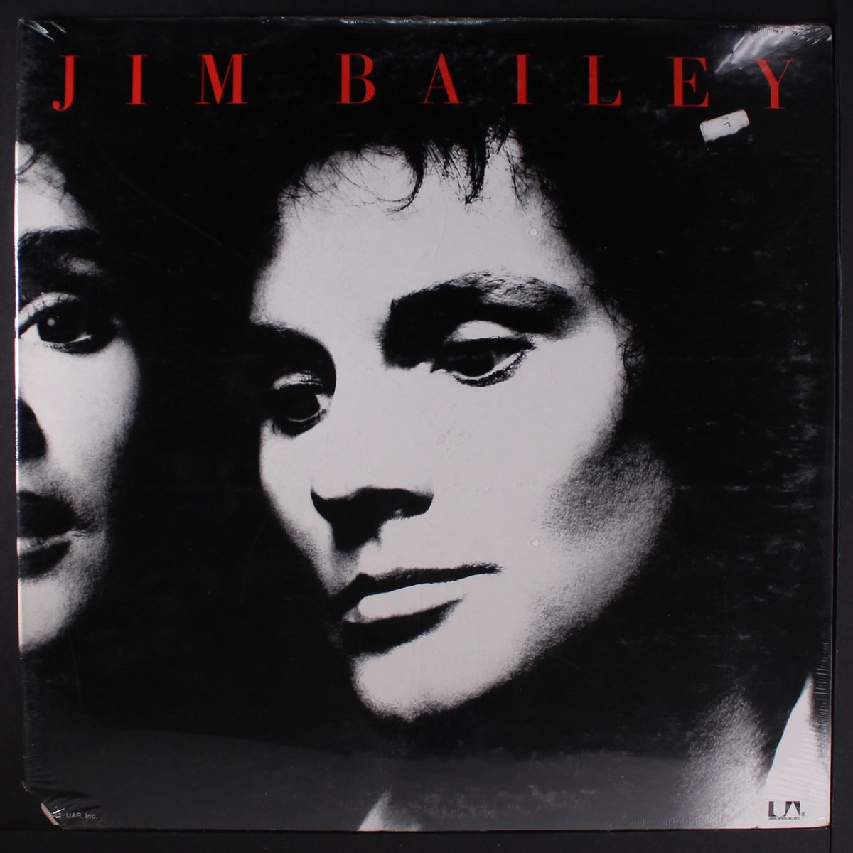 jim bailey by JIM BAILEY