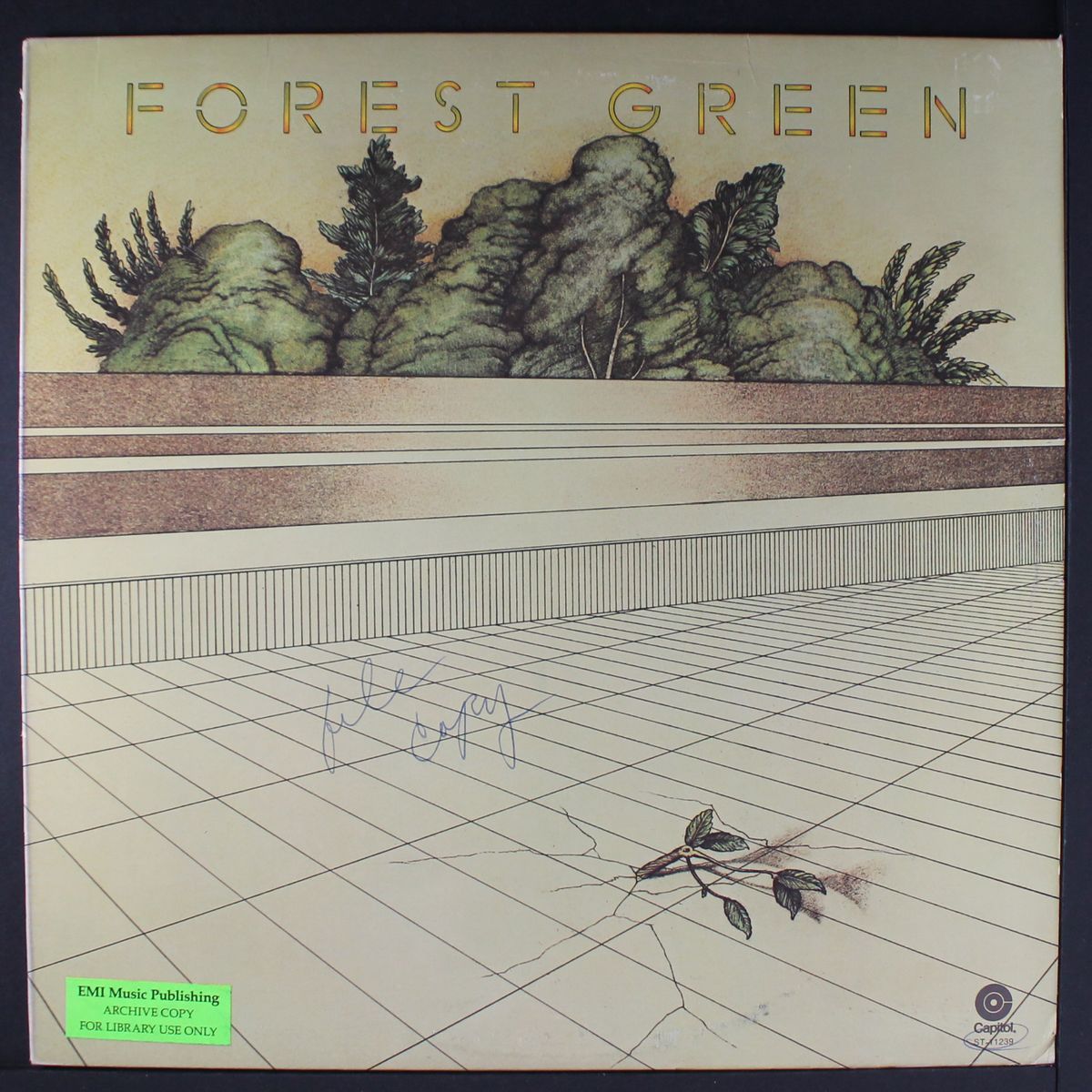 forest green by FOREST GREEN