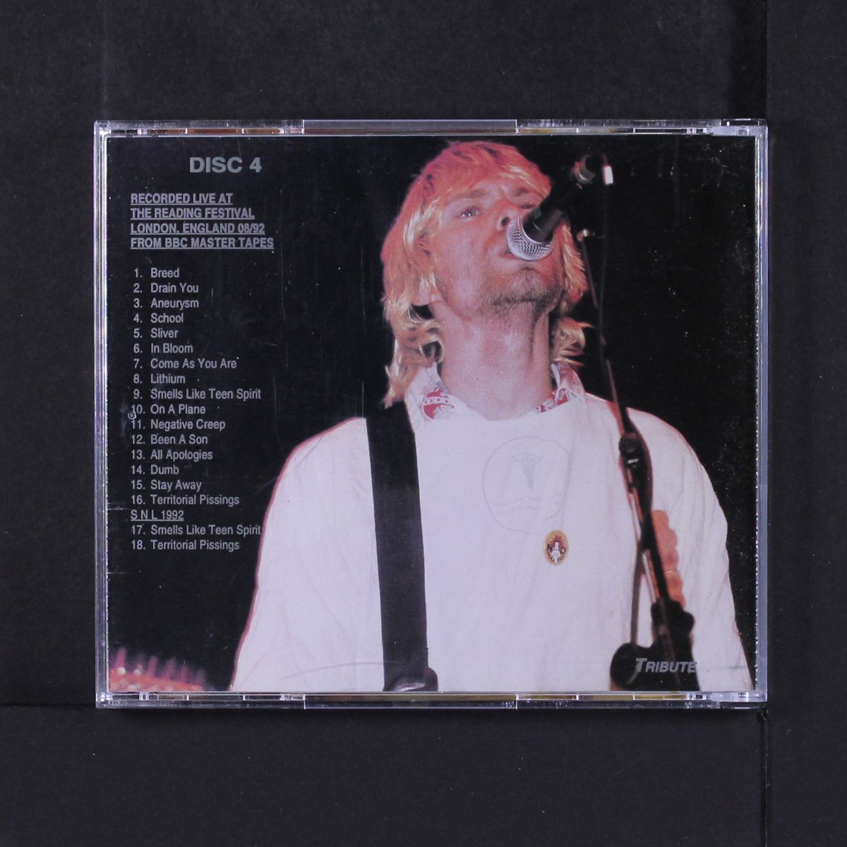 reading festival by NIRVANA