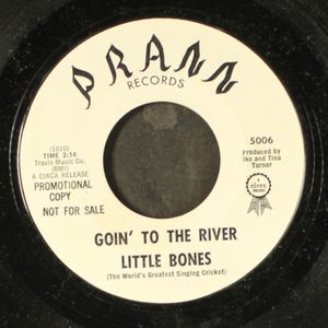 LITTLE BONES