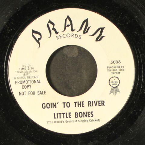 LITTLE BONES