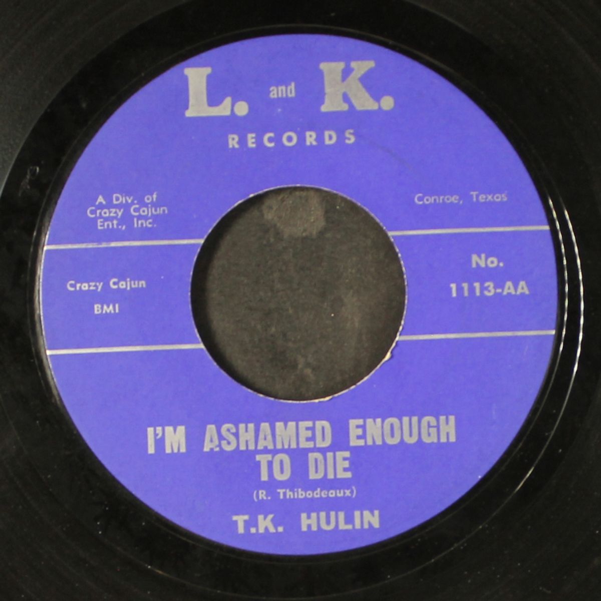 i'm ashamed enough to die / rain by T.K. HULIN