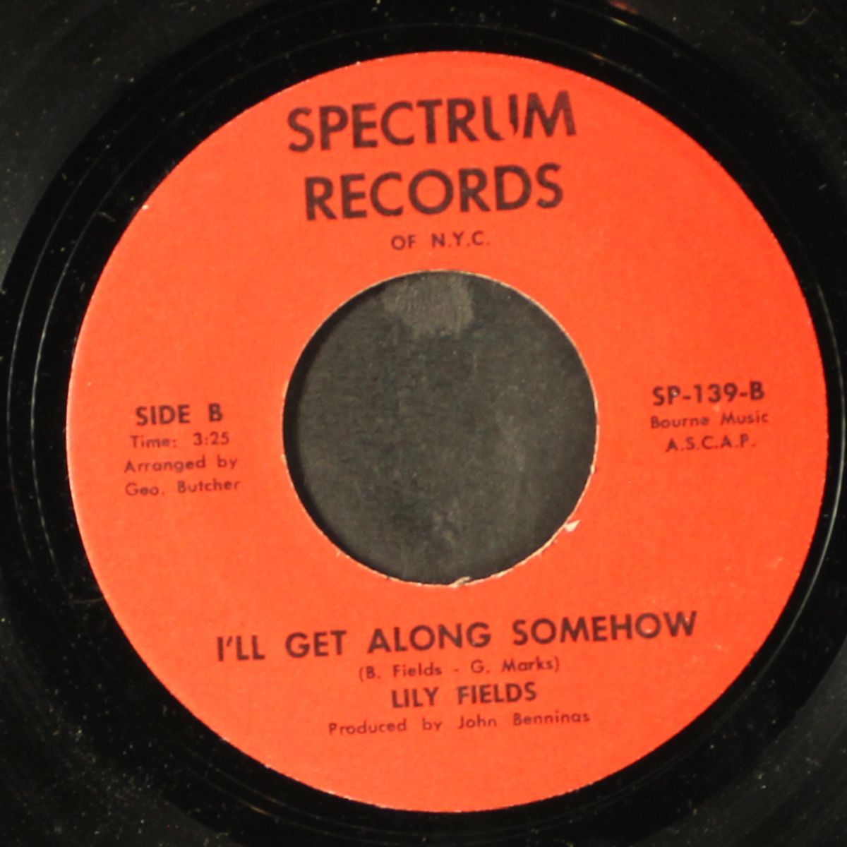 pleasure me / i'll get along somehow by LILY FIELDS