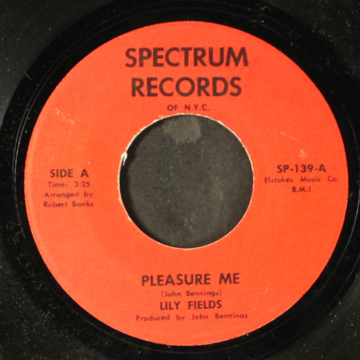 pleasure me / i'll get along somehow by LILY FIELDS