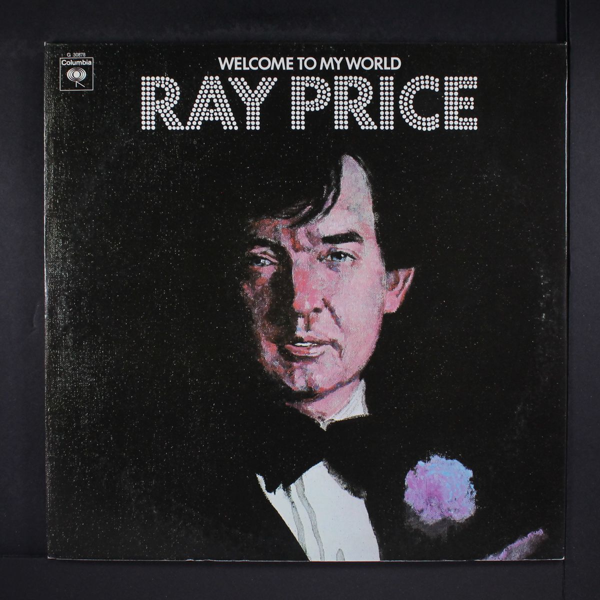 welcome to my world by RAY PRICE