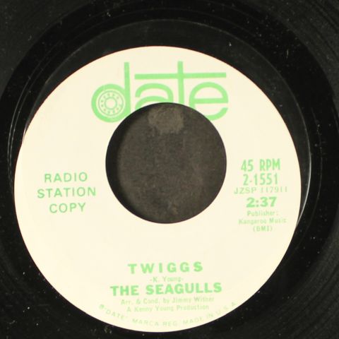 SEAGULLS