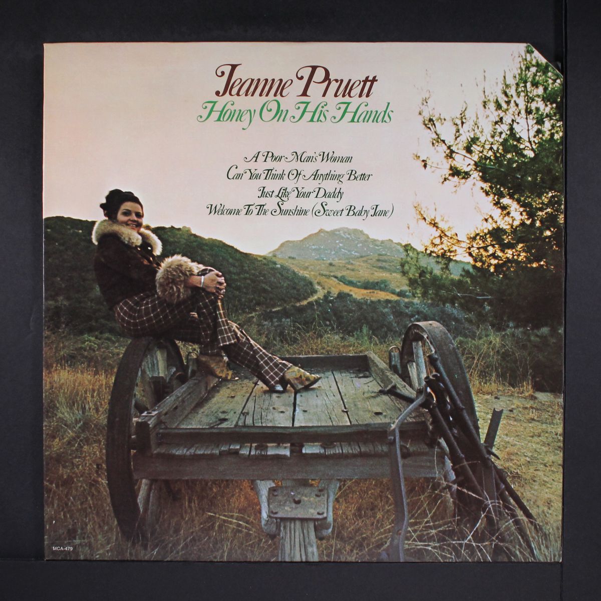 honey on his hands by JEANNE PRUETT