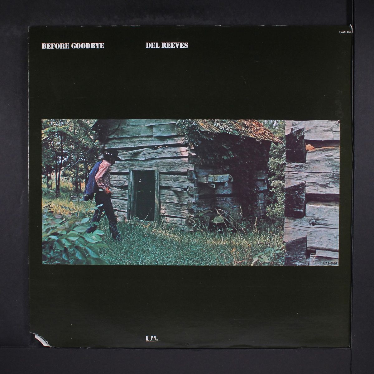 before goodbye by DEL REEVES