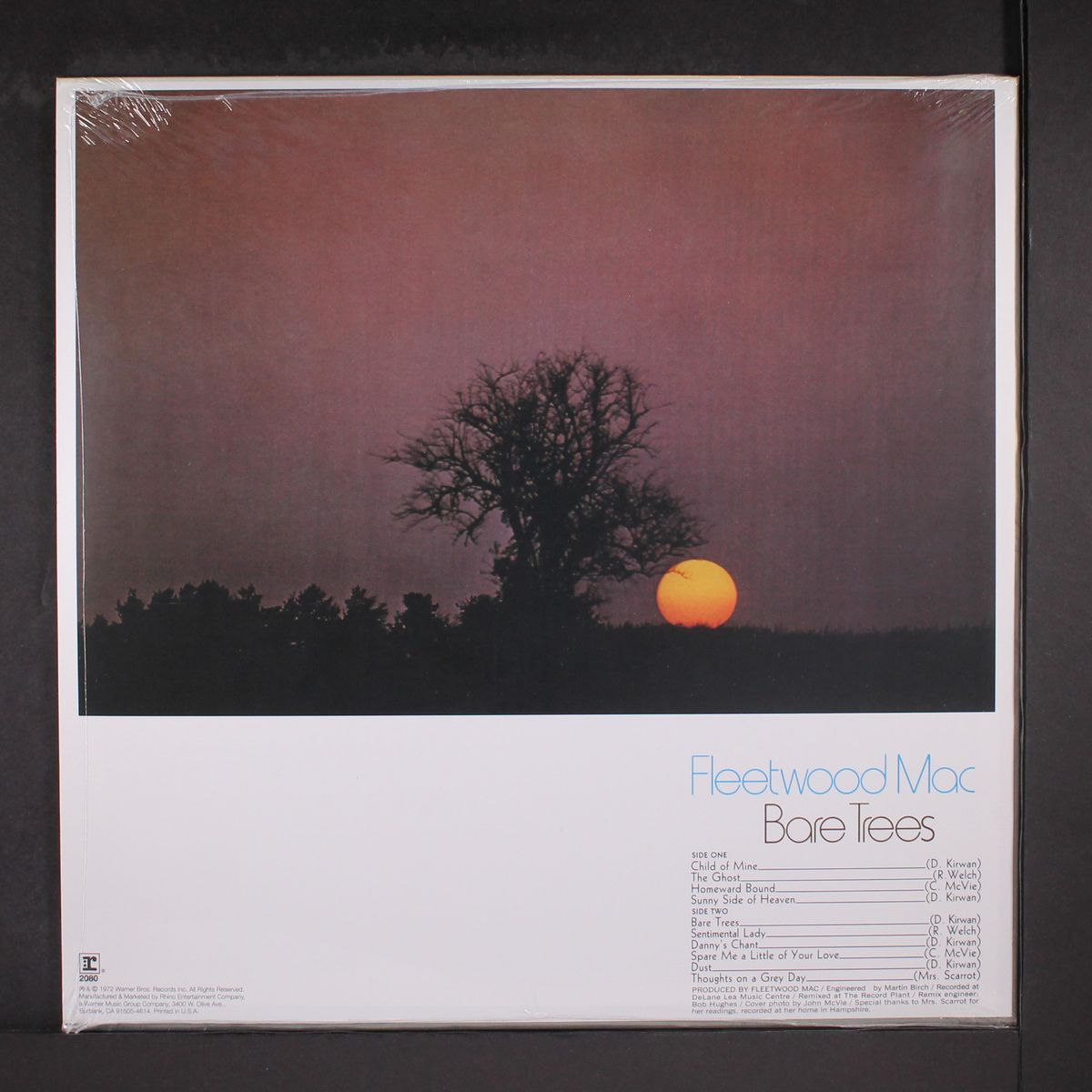 bare trees by FLEETWOOD MAC