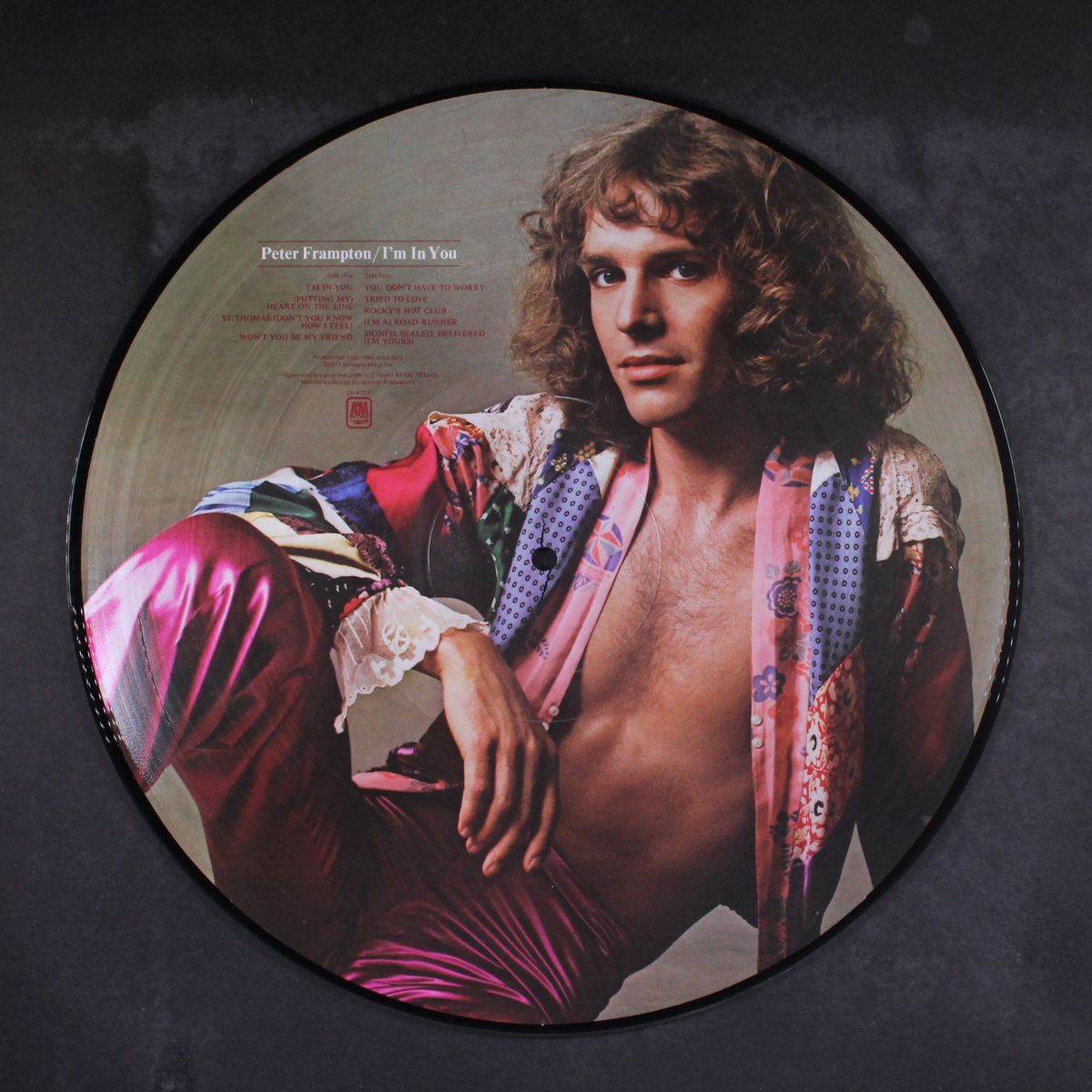 i'm in you by PETER FRAMPTON