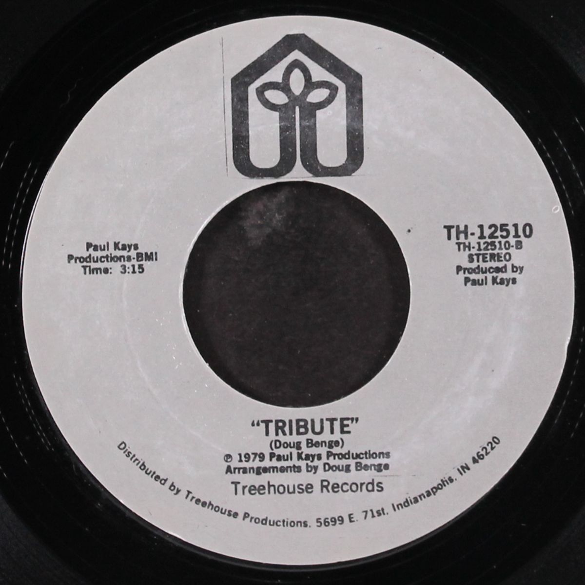 to elvis / tribute by BRENDA JOYCE