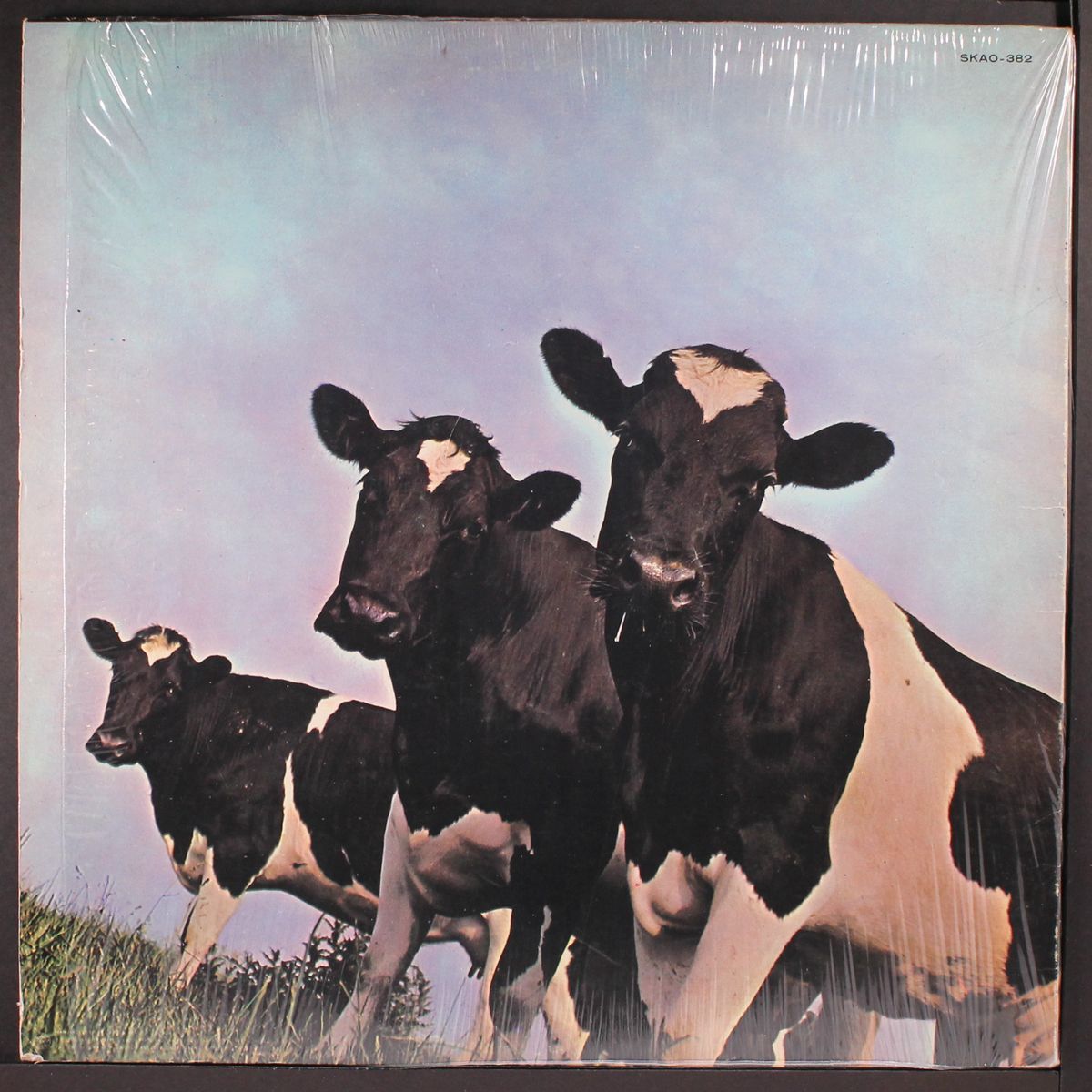 atom heart mother by PINK FLOYD