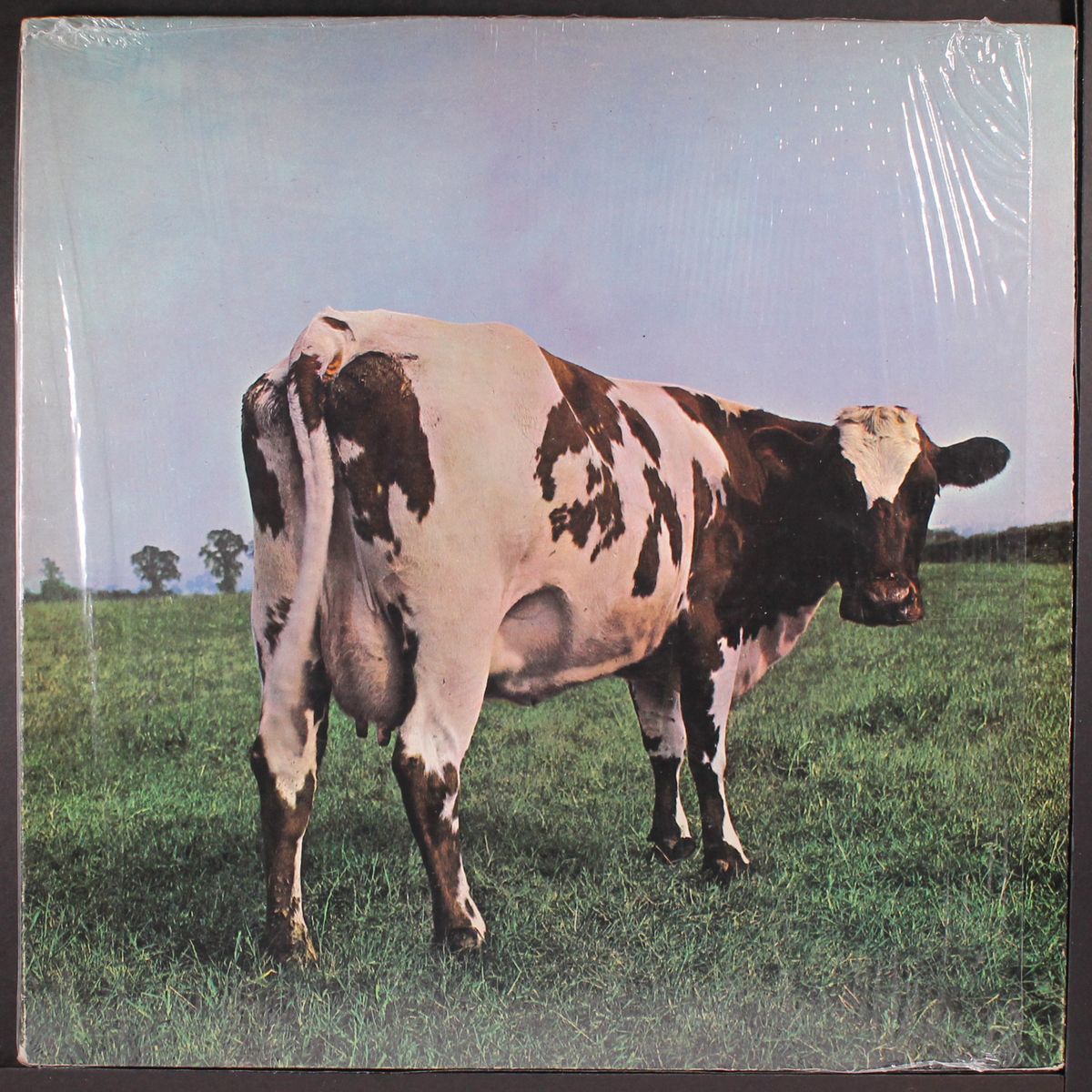 atom heart mother by PINK FLOYD