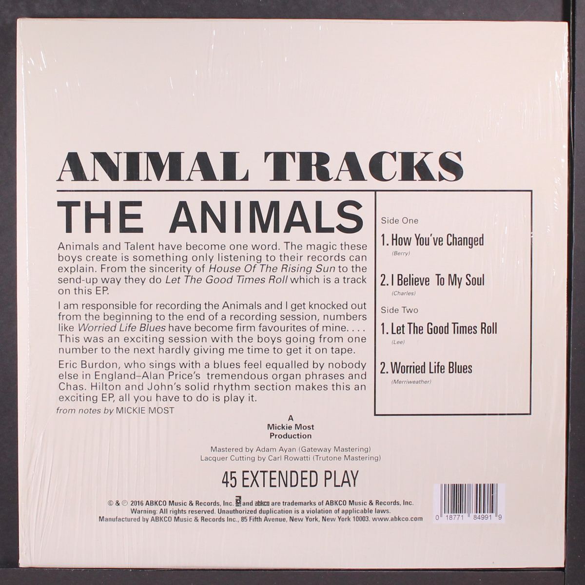 animal tracks by ANIMALS