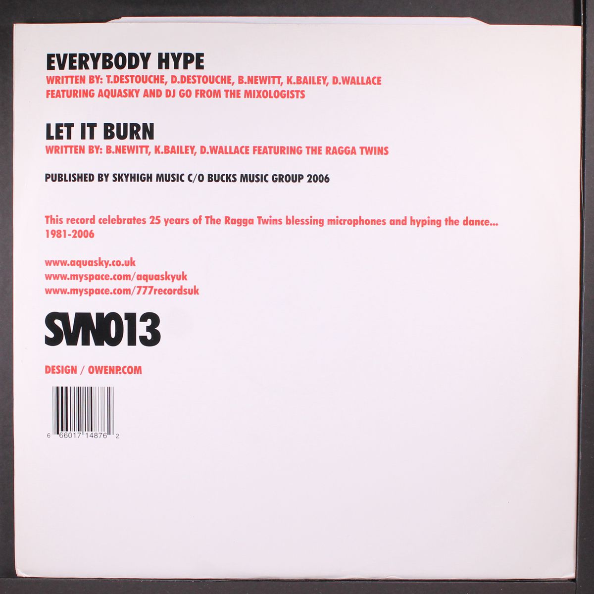 everybody hype by RAGGA TWINS