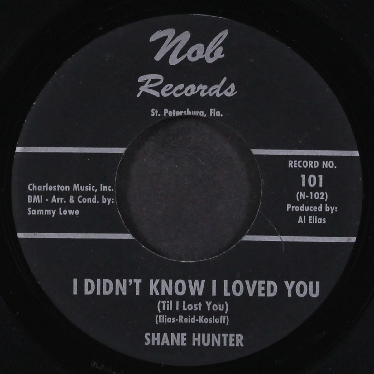 i didn't know i loved you / lightnin' bug by SHANE HUNTER
