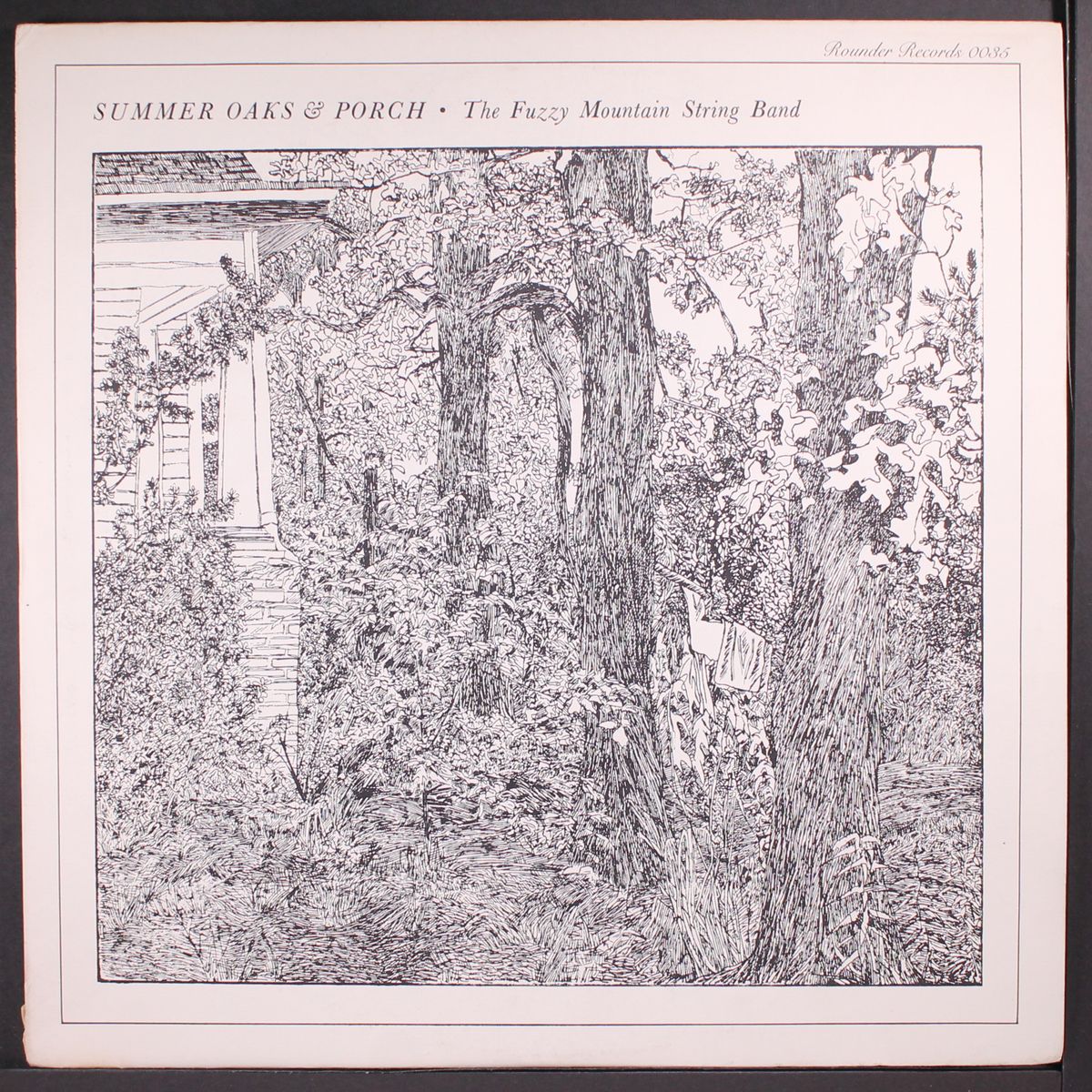 summer oaks & porch by FUZZY MOUNTAIN STRING BAND