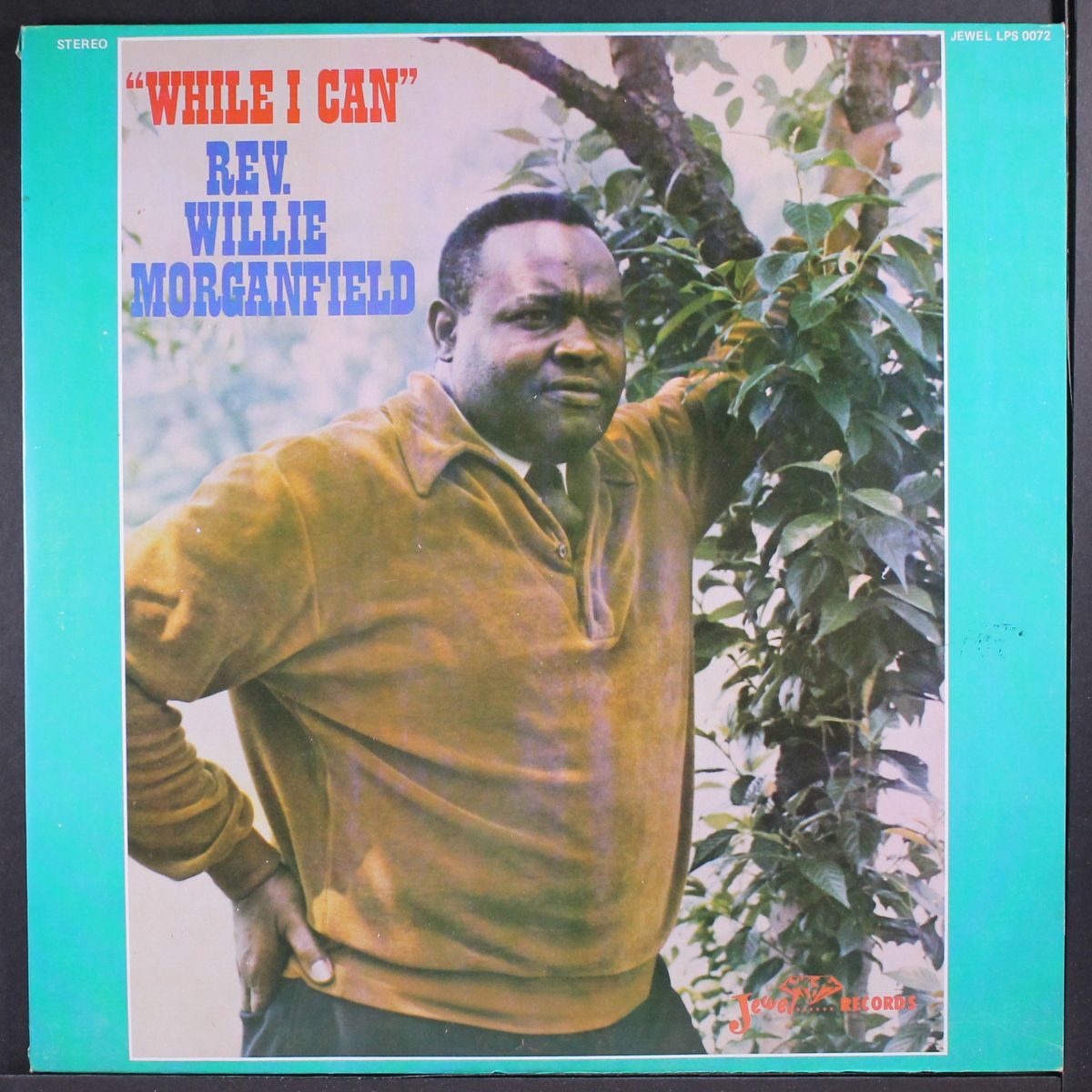 while i can by REV. WILLIE MORGANFIELD