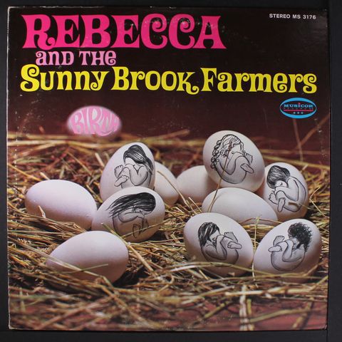 REBECCA & THE SUNNY BROOK FARMERS