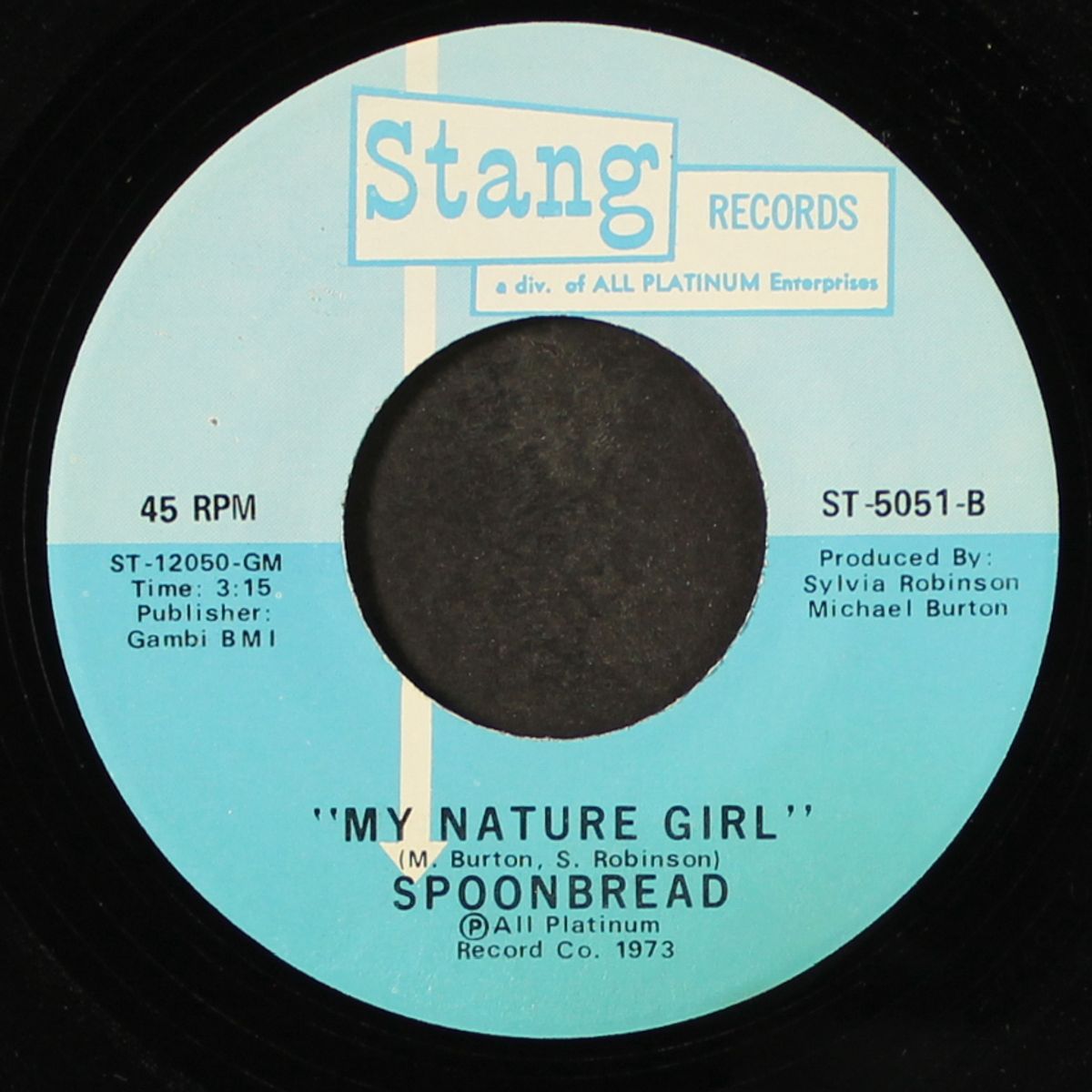 rock and roll band / my nature girl by SPOONBREAD