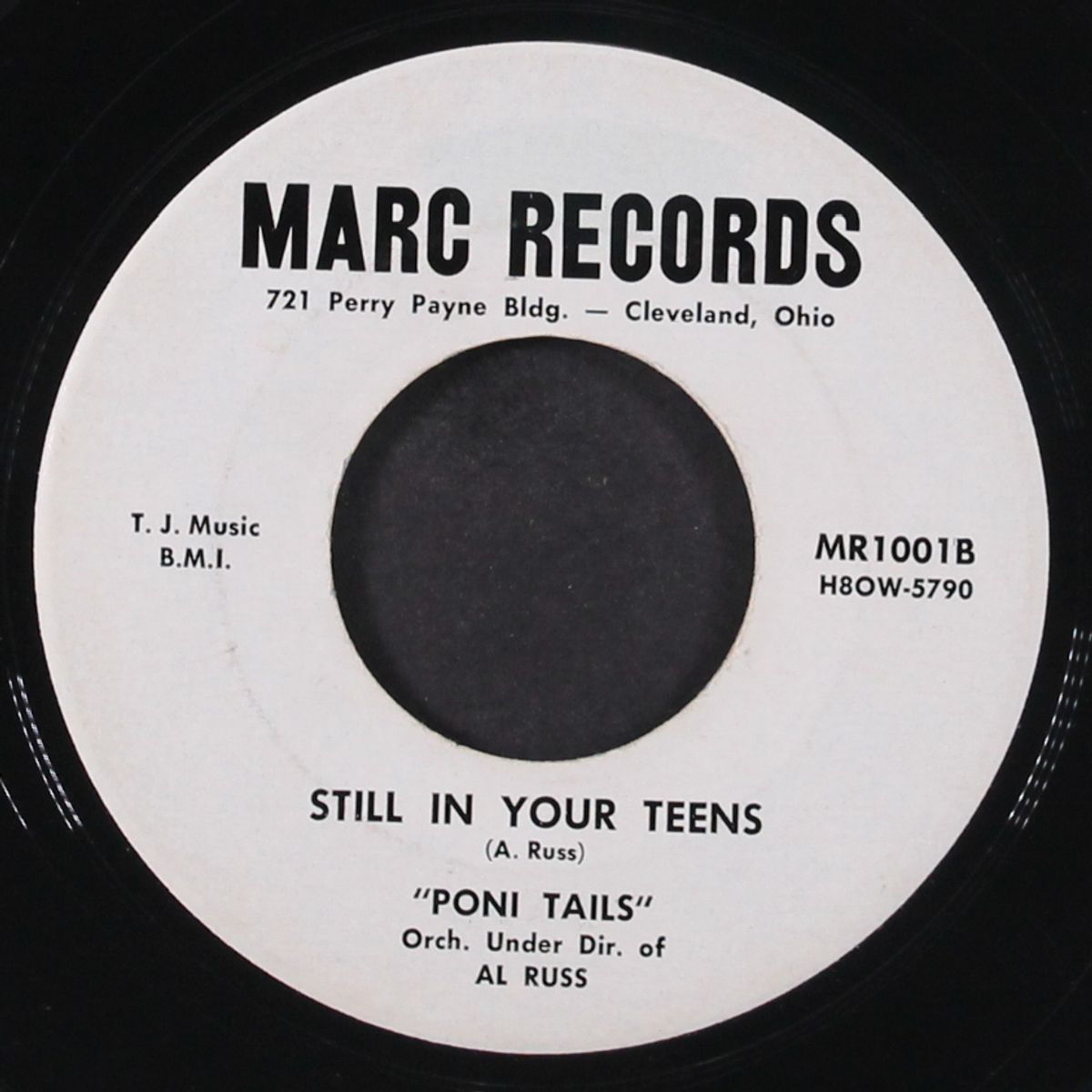 can i be sure / still in your teens by PONI TAILS