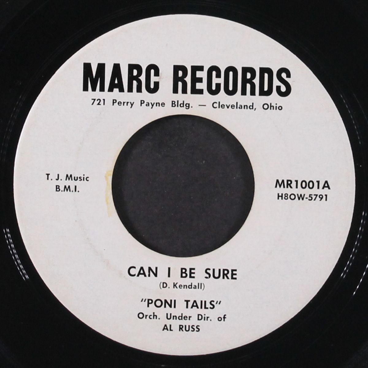 can i be sure / still in your teens by PONI TAILS