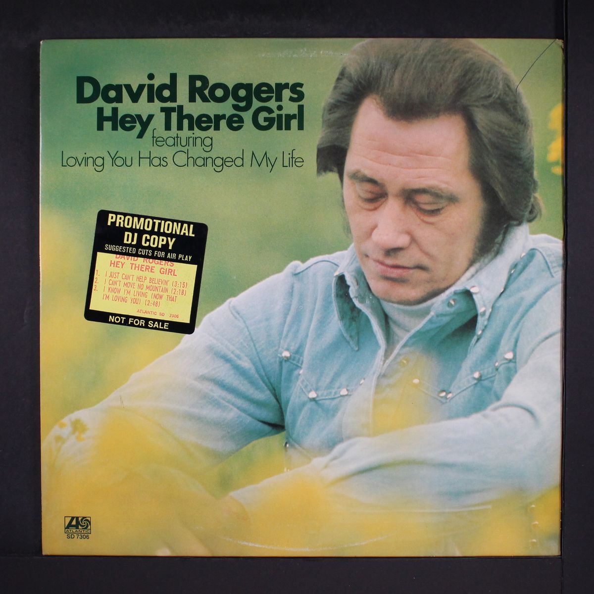 hey there girl by DAVID ROGERS