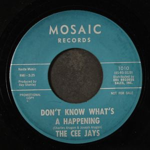 CEE JAYS