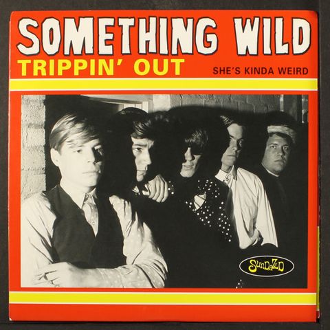 SOMETHING WILD