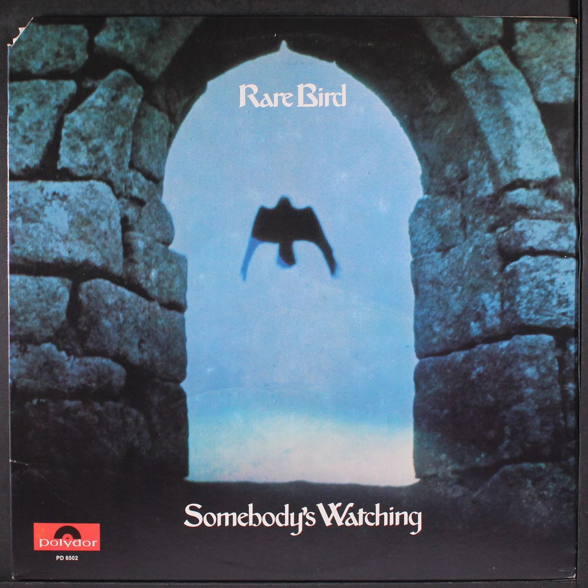 somebody's watching by RARE BIRD