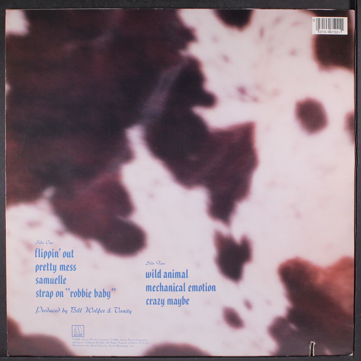 wild animal by VANITY