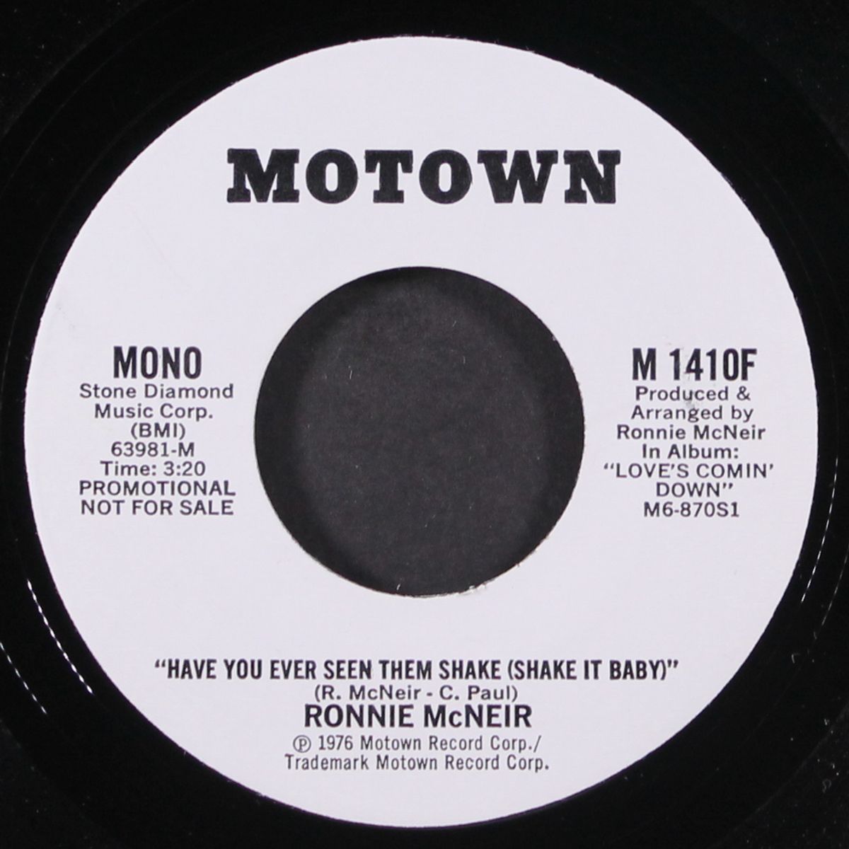 have you ever seen them shake / mono by RONNIE MCNEIR