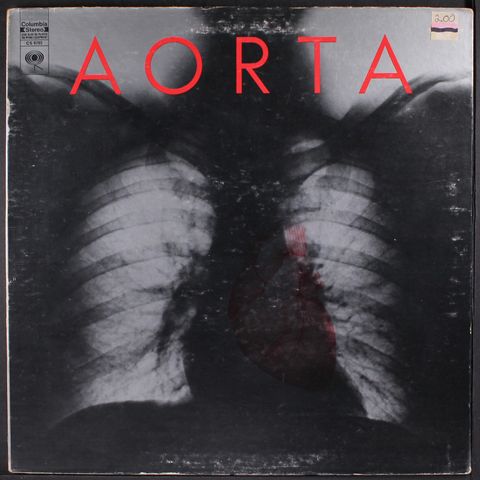 AORTA