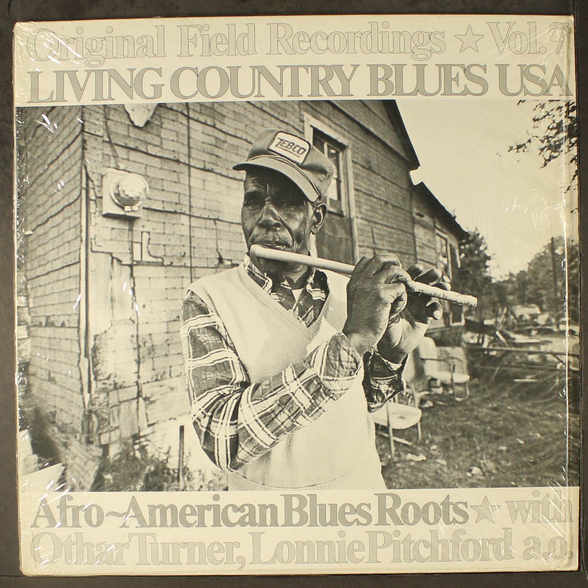 afro-american blues roots by VARIOUS